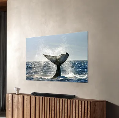 Wall-mounted TV