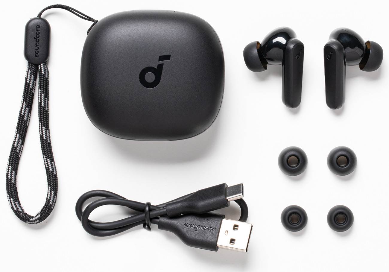 Accessory View of Soundcore Earbuds