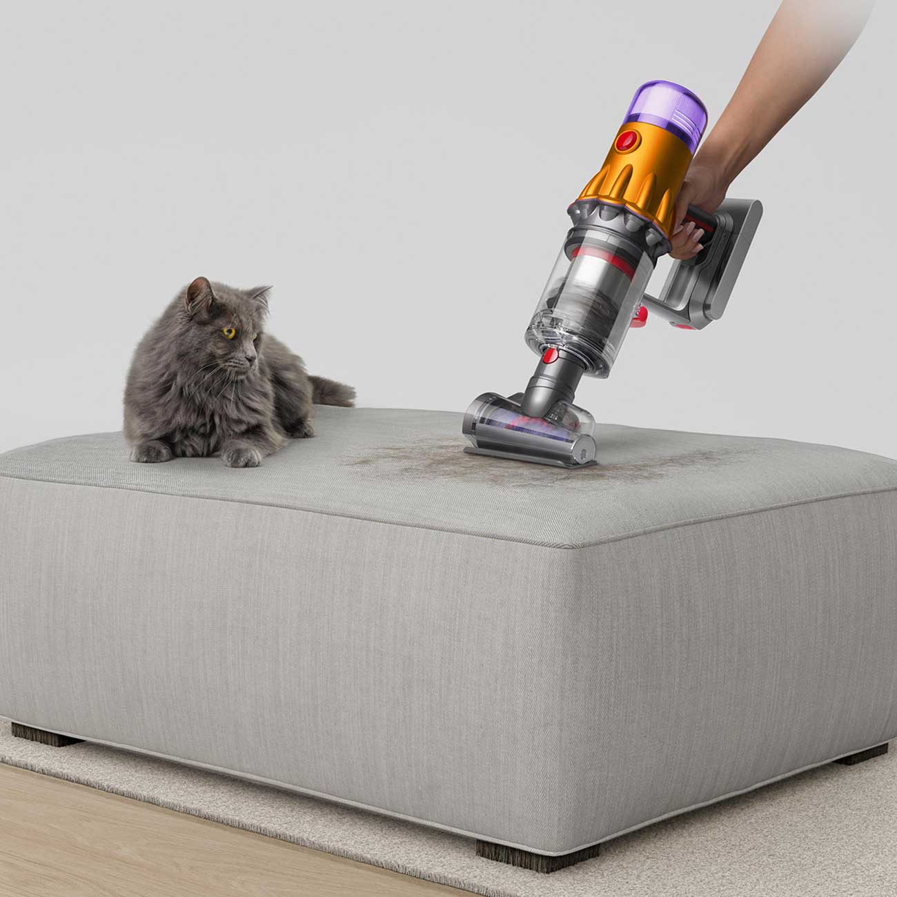 V12Detect Slim Stick Vacuum Cleaning Dirt Detail 2