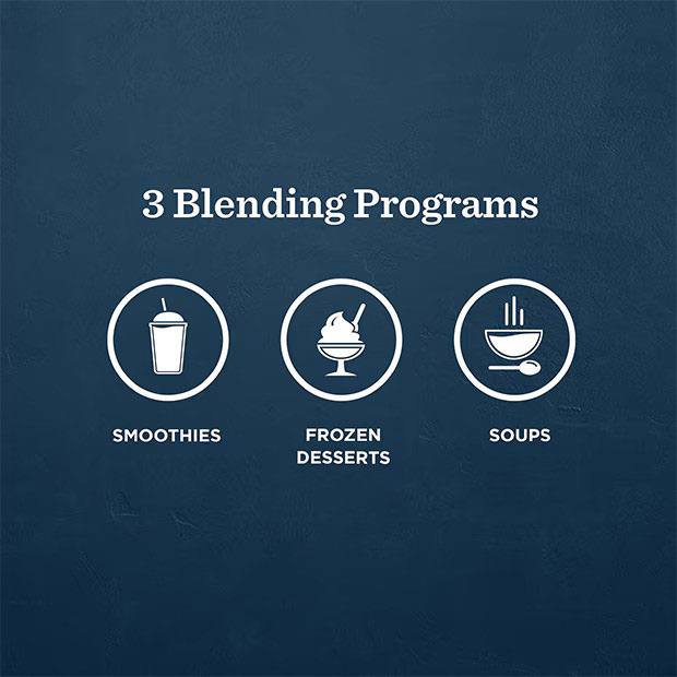 Programs View of Vitamix Blender