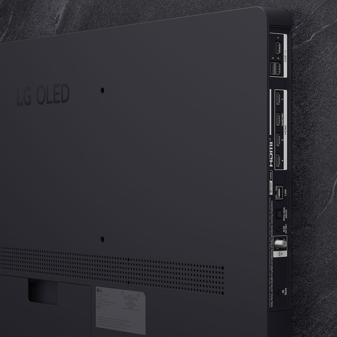 Rear View of LG OLED 4K Smart TV Ports 