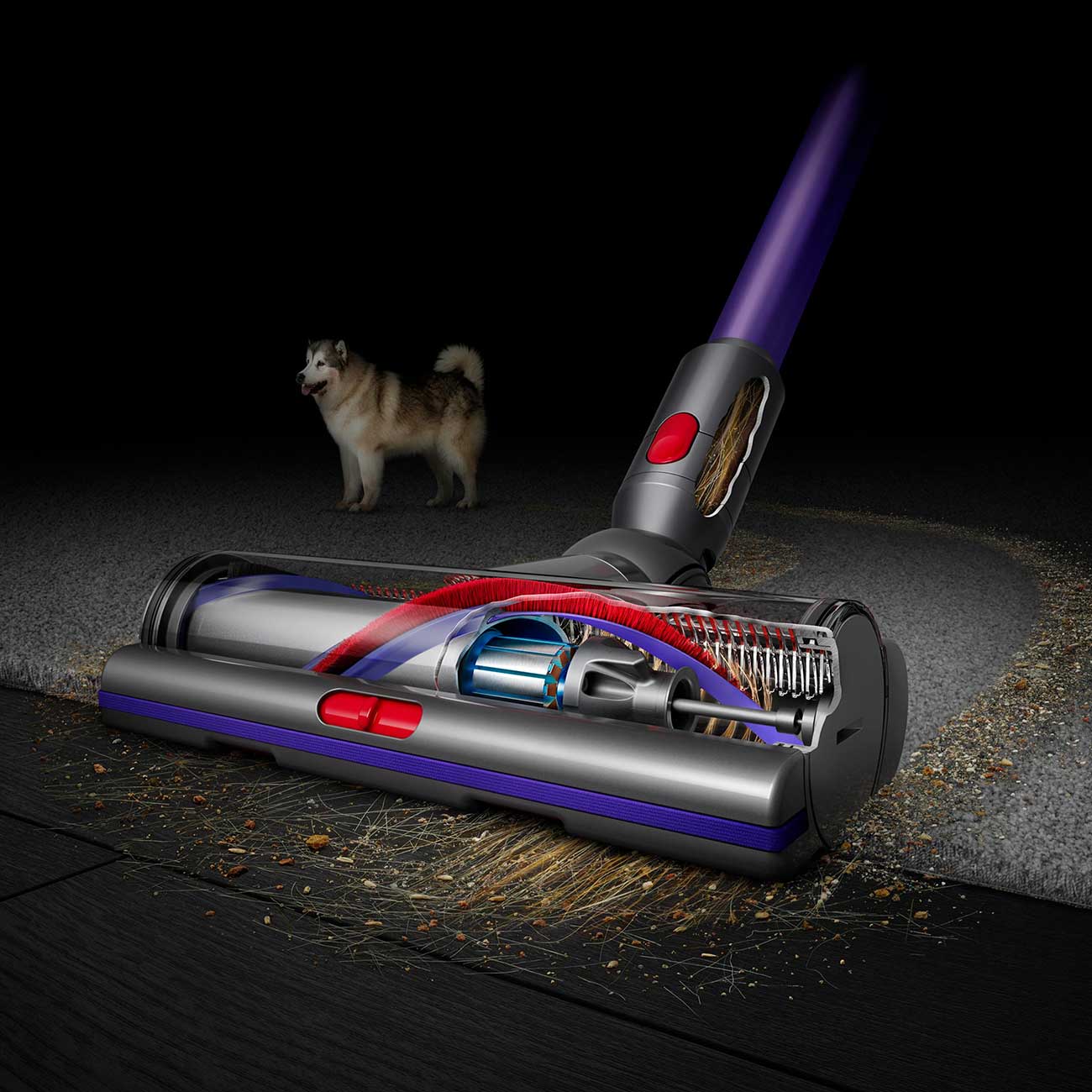 Gen5Detect Stick Vacuum Cleaning Dirt Detail 2