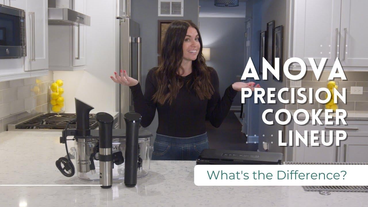 Watch Anova Sous Vide Comparison