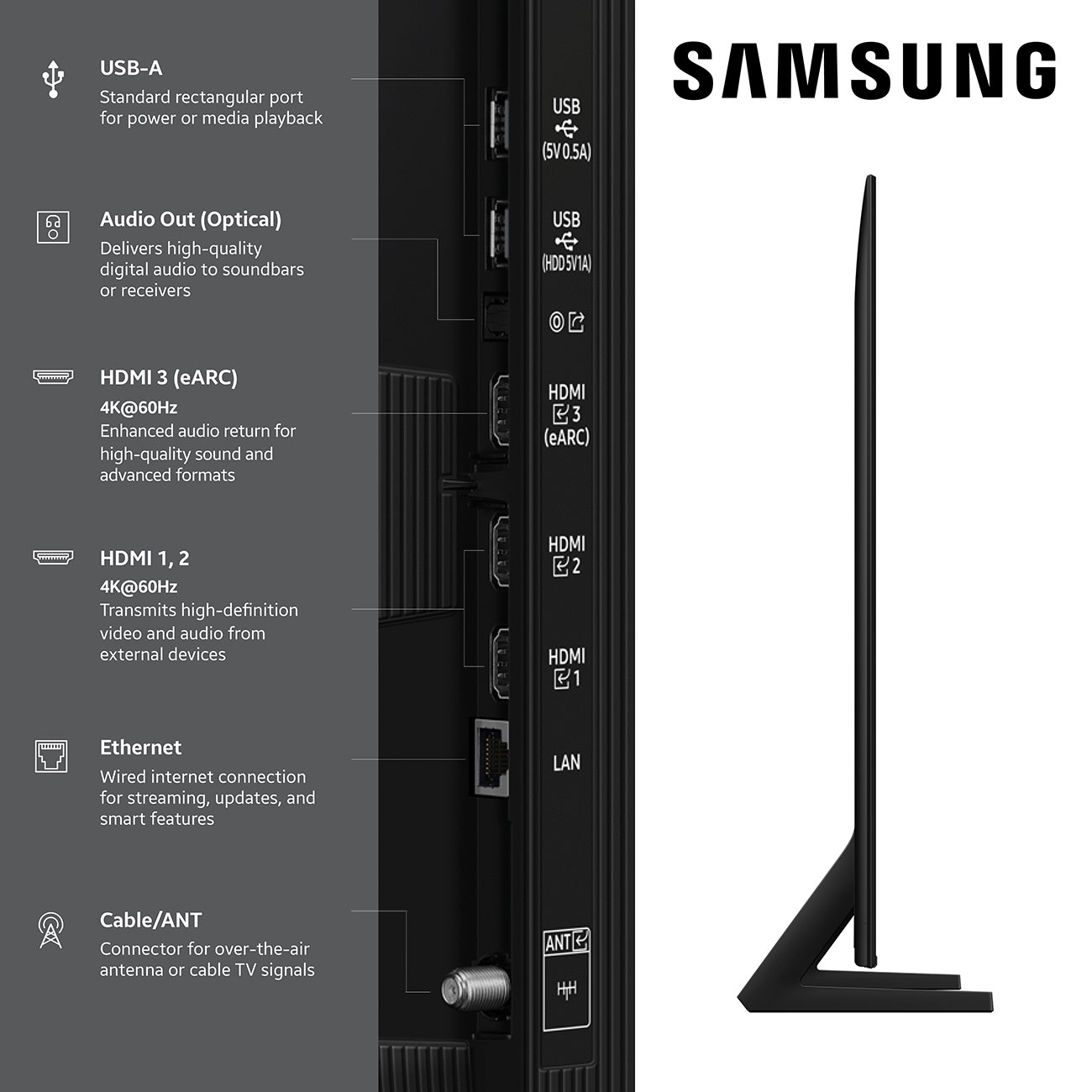 Samsung Q8F QLED TV Inputs