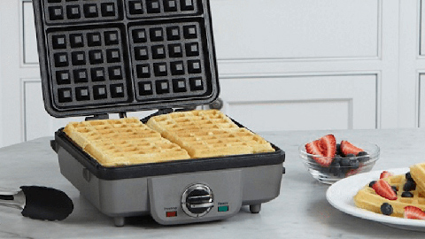 Breville the Sear & Press Grill in Stainless Steel - BGR700BSS1BUS1