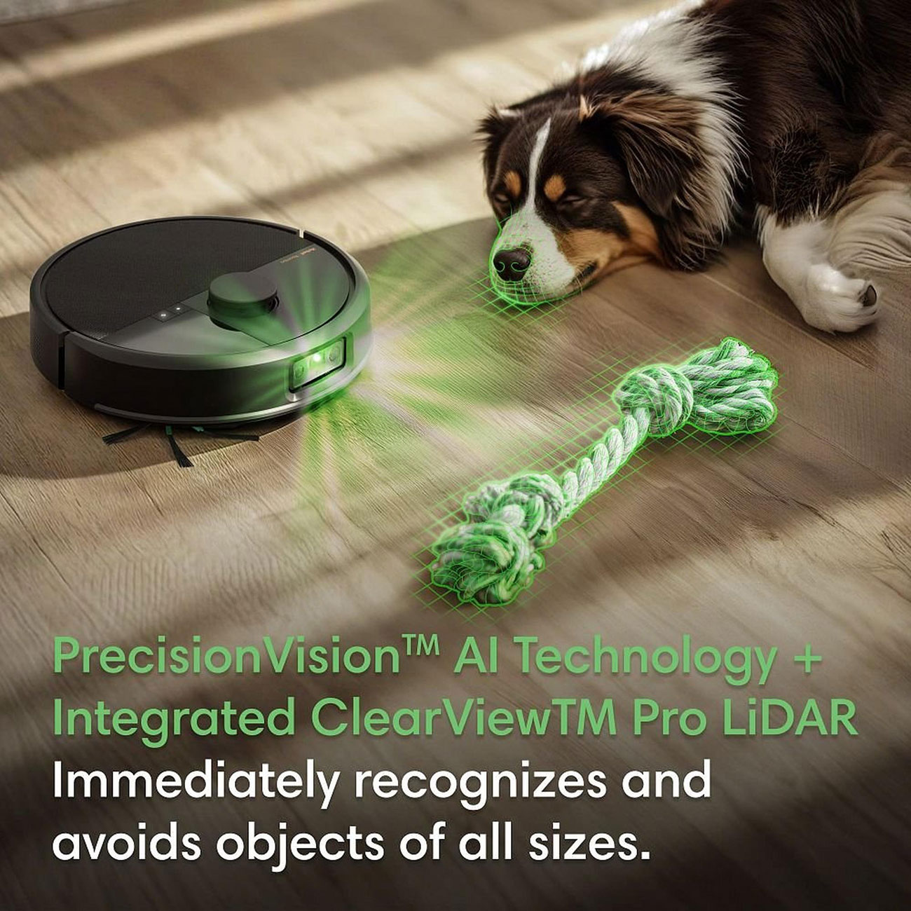 Feature View of Precision Vision
