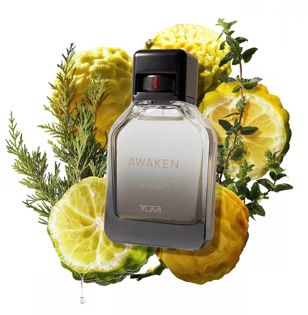 View of TUMI Fragrance notes
