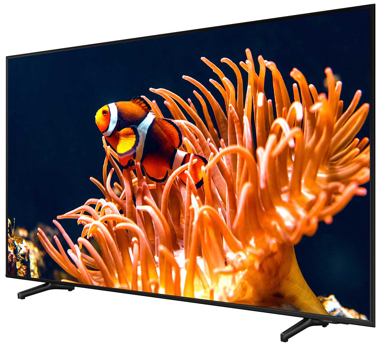 Dynamic Right View Of The TV