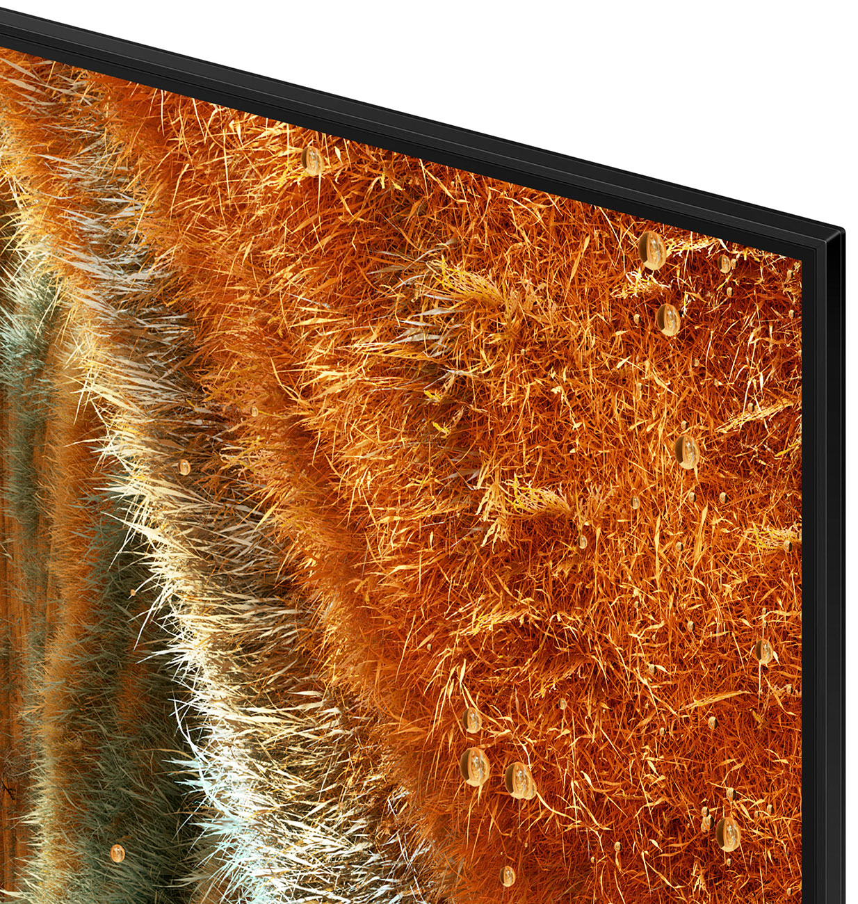 Close Up View Of The TV Bezel