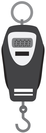 Luggage Scales