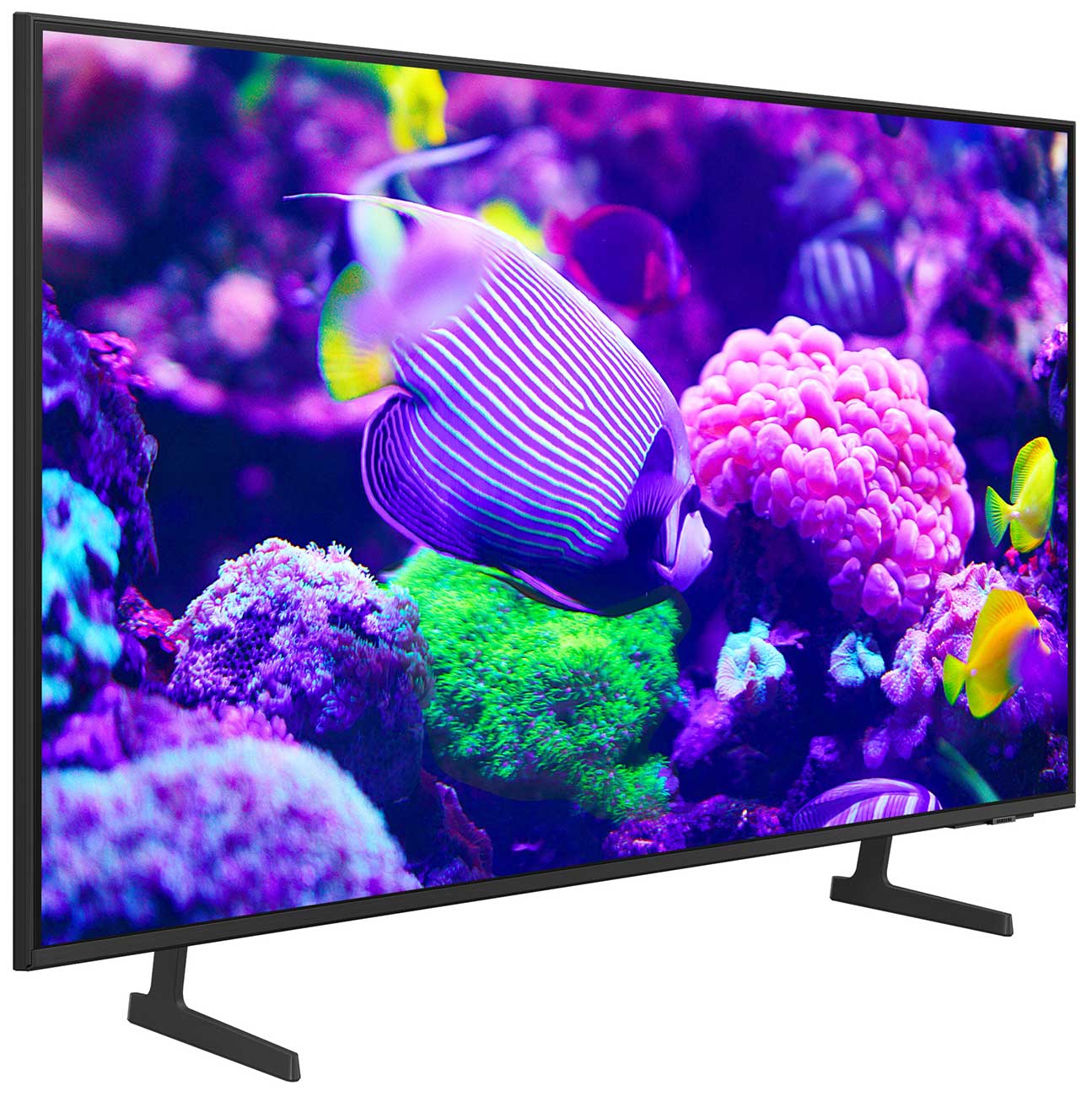 Dynamic Left View Of The TV