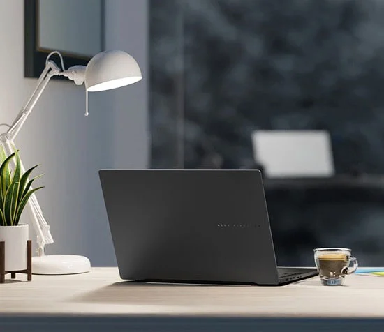 Laptops & Notebook Computers