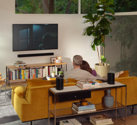 Couple watching television