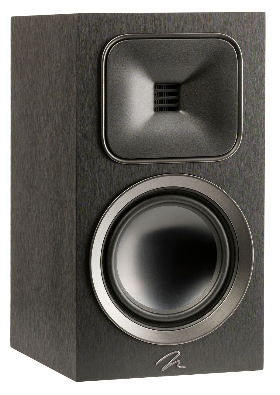 Front Left View of Martin Logan Speaker