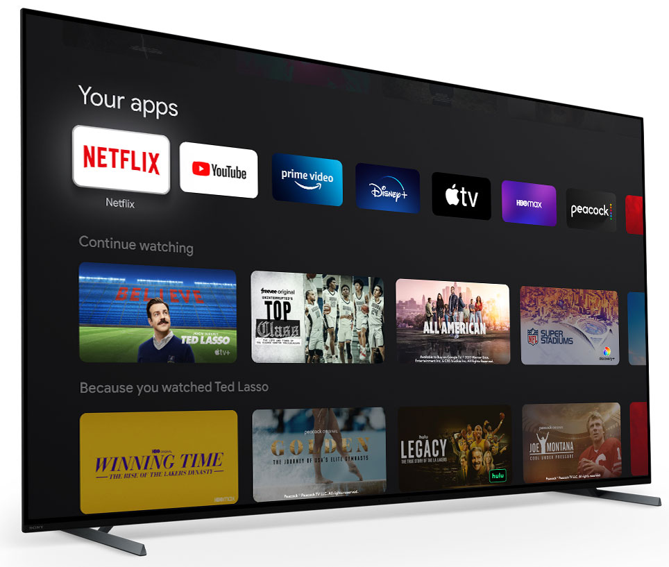 Front Left View of Sony A80L TV