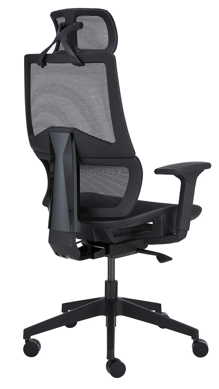 Back Angled View Image of Office Chair