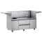 Twin Eagles 54-Inch Freestanding Outdoor Gas Grill Base In Stainless Steel