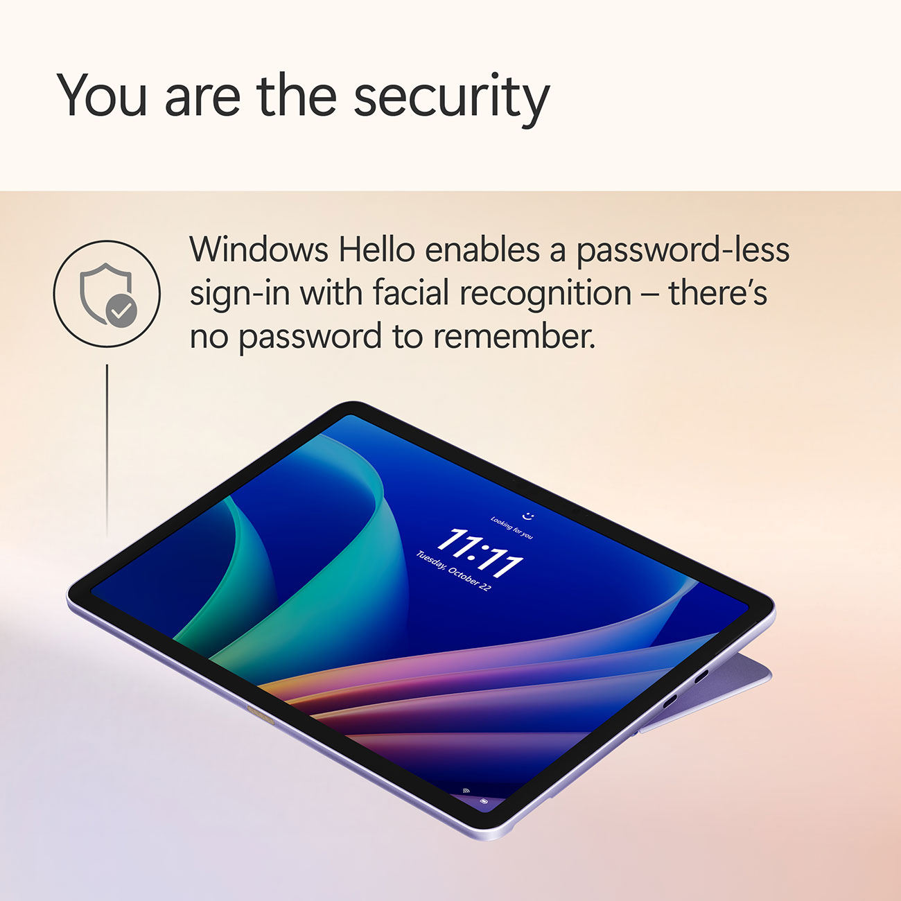 Infographic View of Microsoft Surface Pro Security Feature