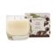 Michel Design Works Candle 9.5 Oz in Dark Cherry Vigne