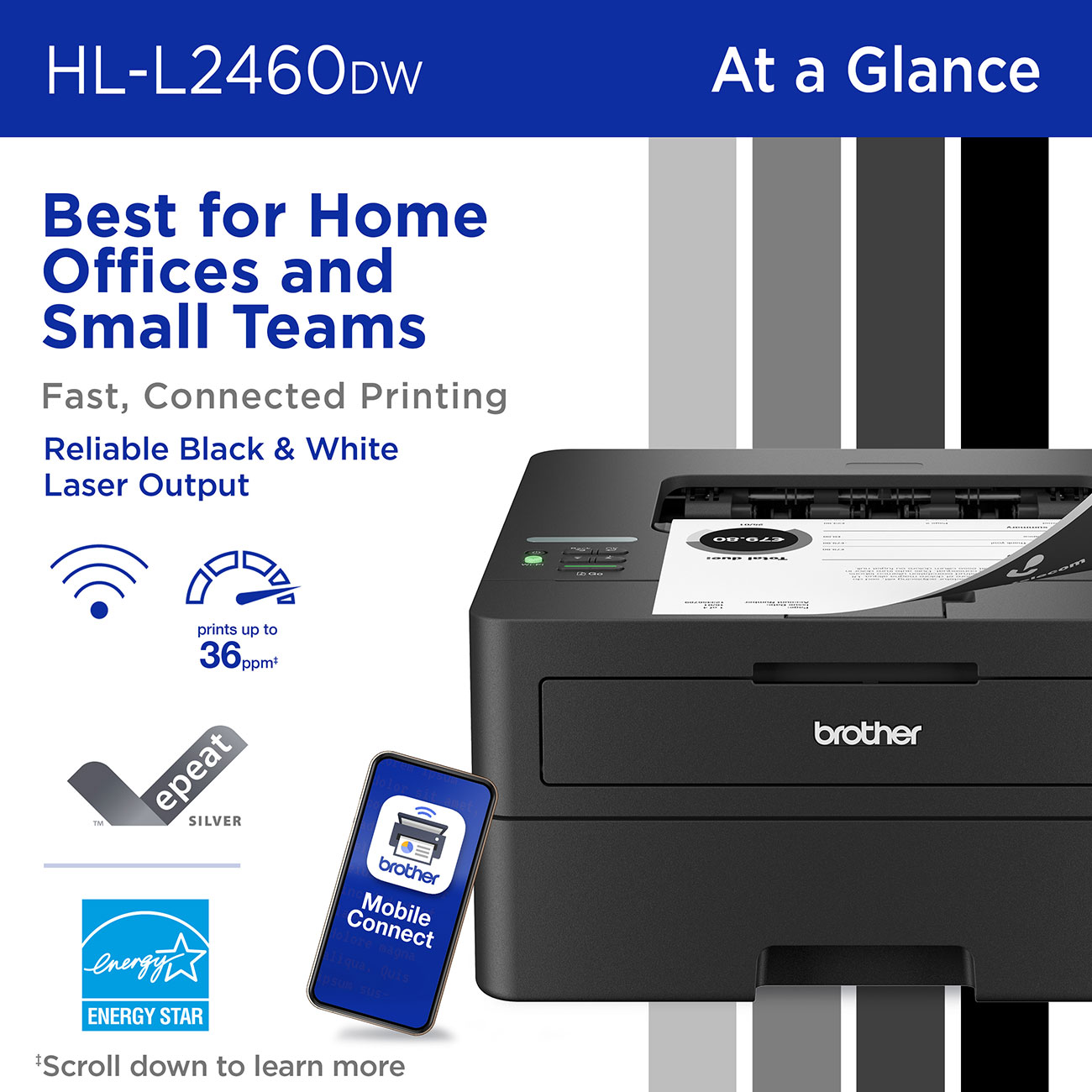 Brother - HL-L2460DW - Printers & Scanners