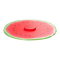 Charles Viancin 8" Watermelon Air-Tight Silicone Lid