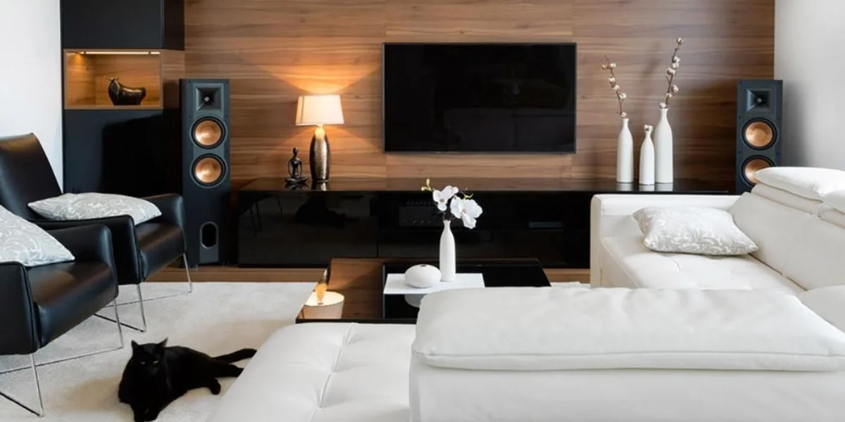 Living room with white sofa and glsosy black entertainment system, with a cat in the foreground
