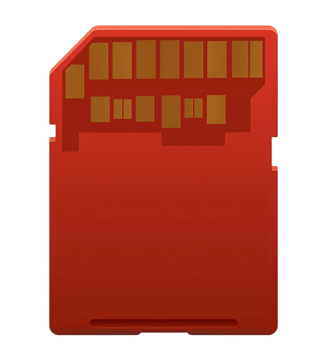 ProMaster - PRO5463 - Memory Cards & Accessories