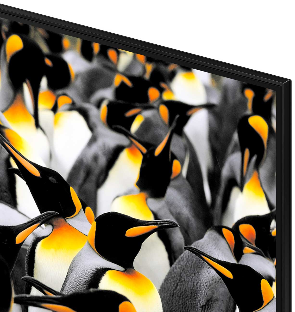 Close Up View Of TV Bezel