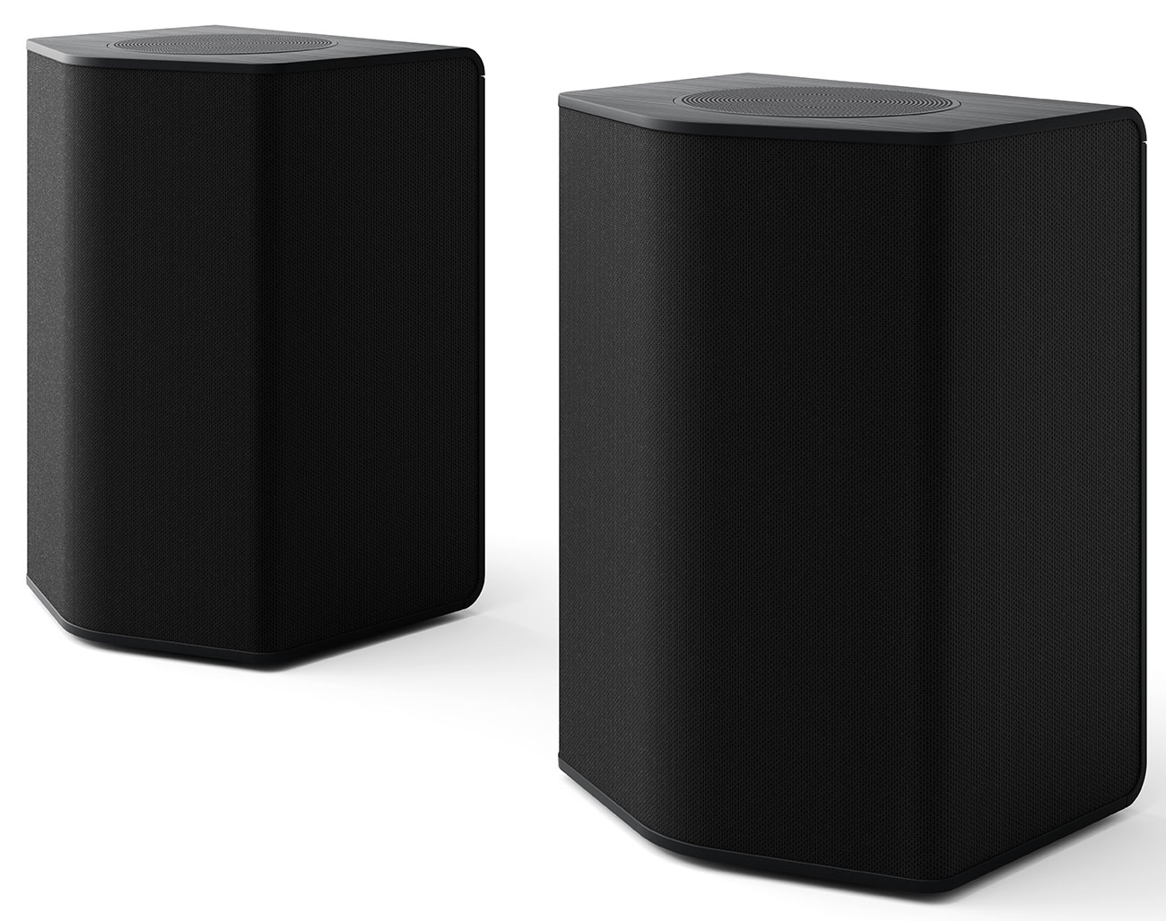 Front Angled View of LG Rear Speakers