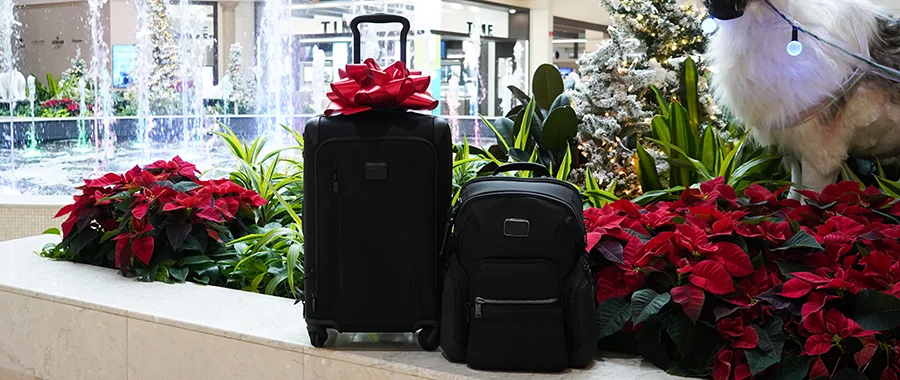 Two pieces of black luggage with bows on them sitting in front of Abt's atrium decorated for the holidays