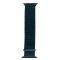 Abt Nylon Sport Loop Band for Apple Watch 42/44/45/46/49mm in Forest Green