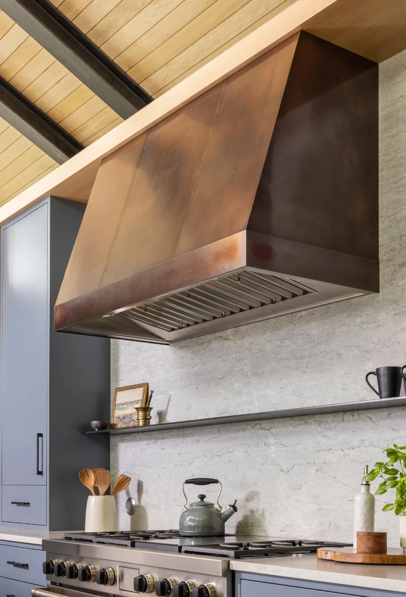 Wolf hood and downdraft ventilation
