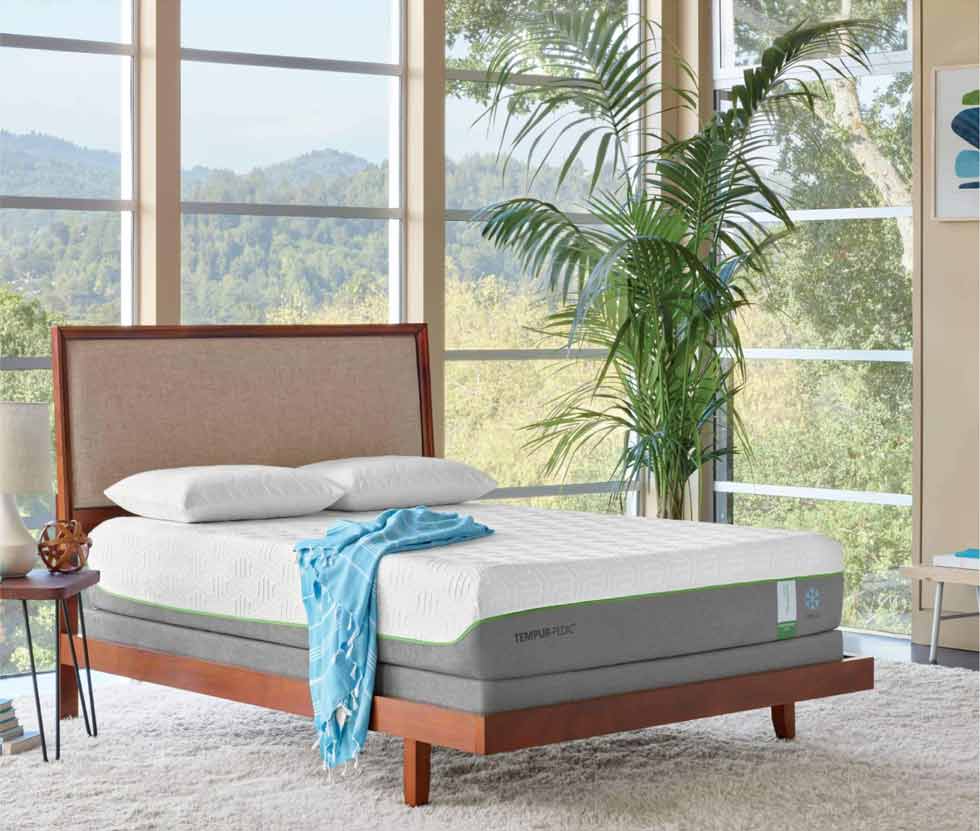 Tempur-Pedic bed and bedframe in front of large windows