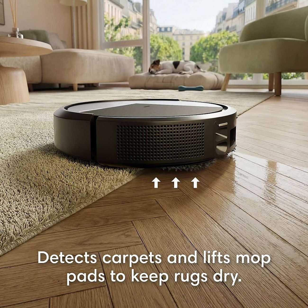 Feature View of Robot Vacuum Detecting Carpet
