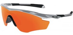 Shield Sunglasses