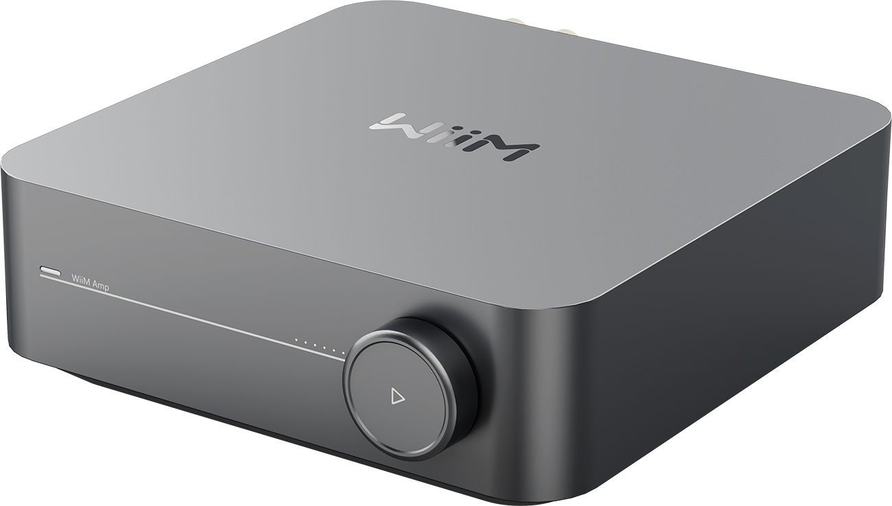Angle View of WiiM Amp