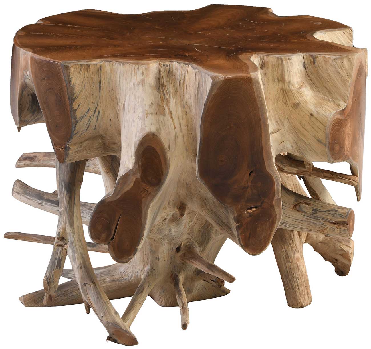 Classic Home Groot End Table Teak Root in Natural