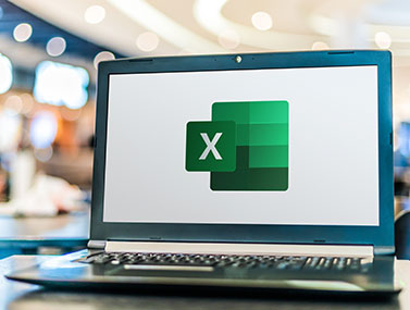 Lifestyle of computer software