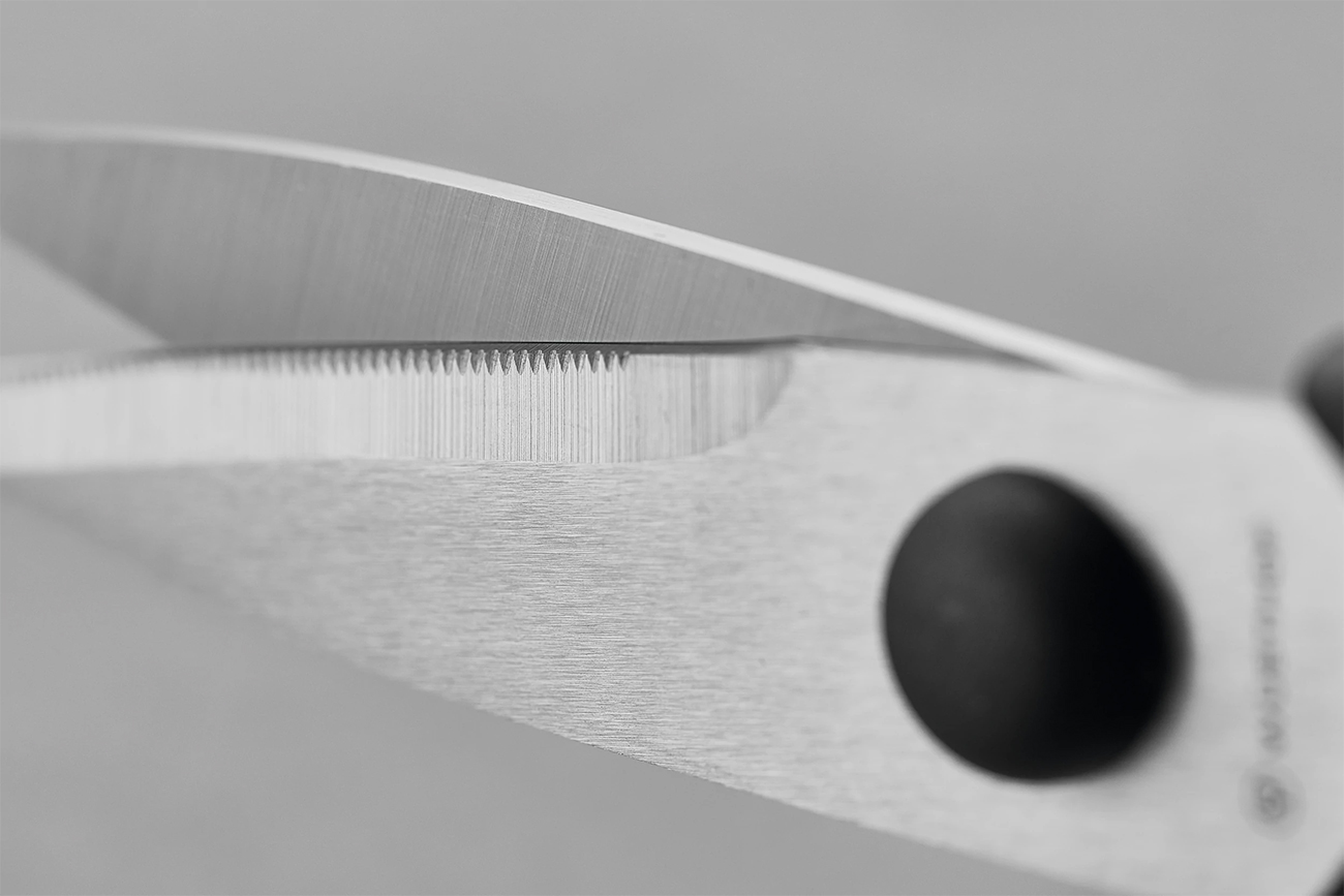 Close view of kitchen shears