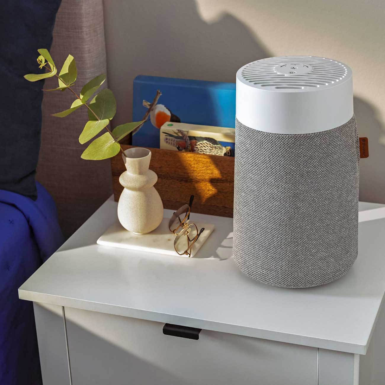 Air Purifier in Home Setting Detail 3