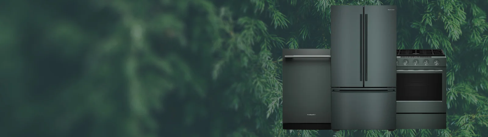 stylized banner background with pine like tree branches with juniper colored appliances on the right hand side