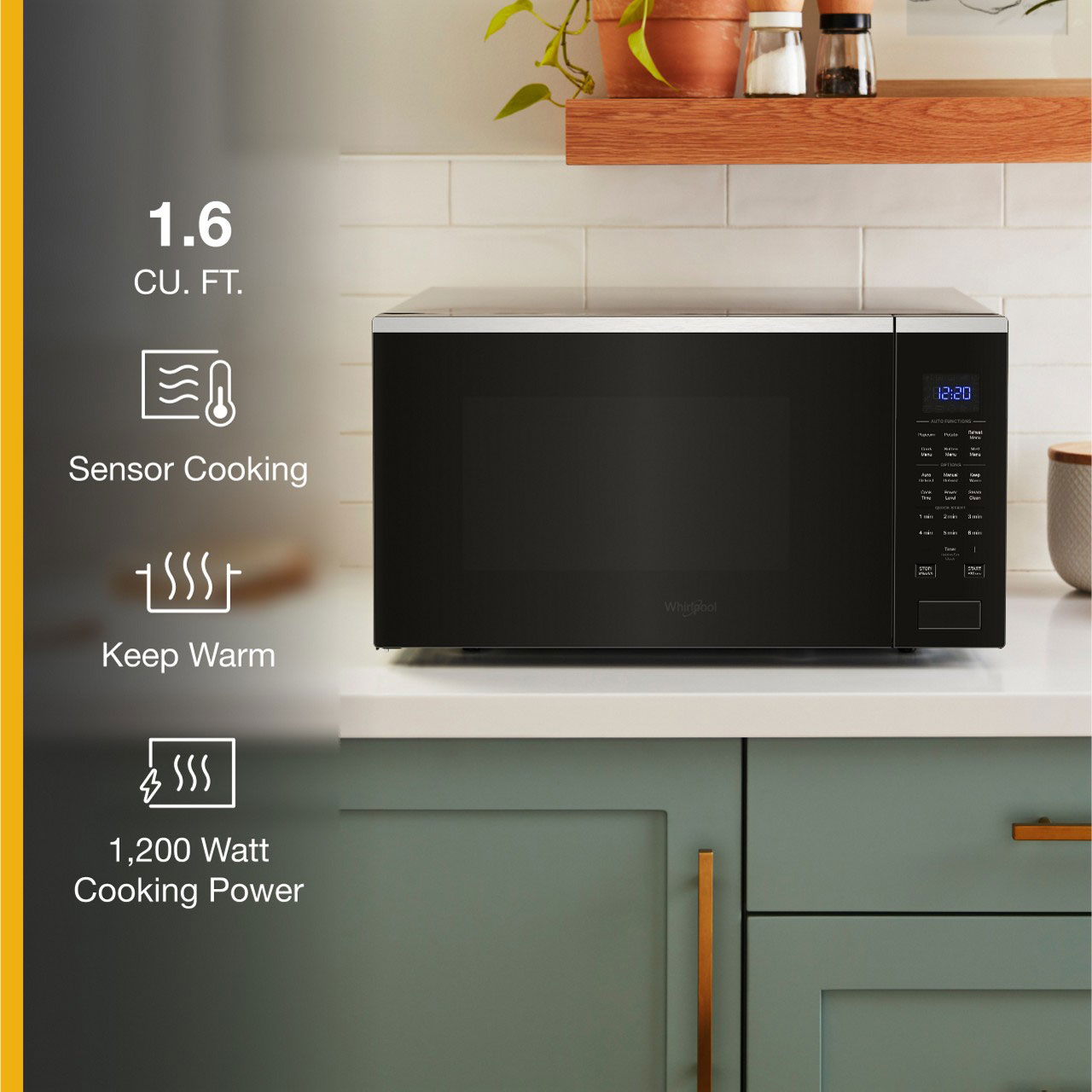 Infographic View of Microwave Features