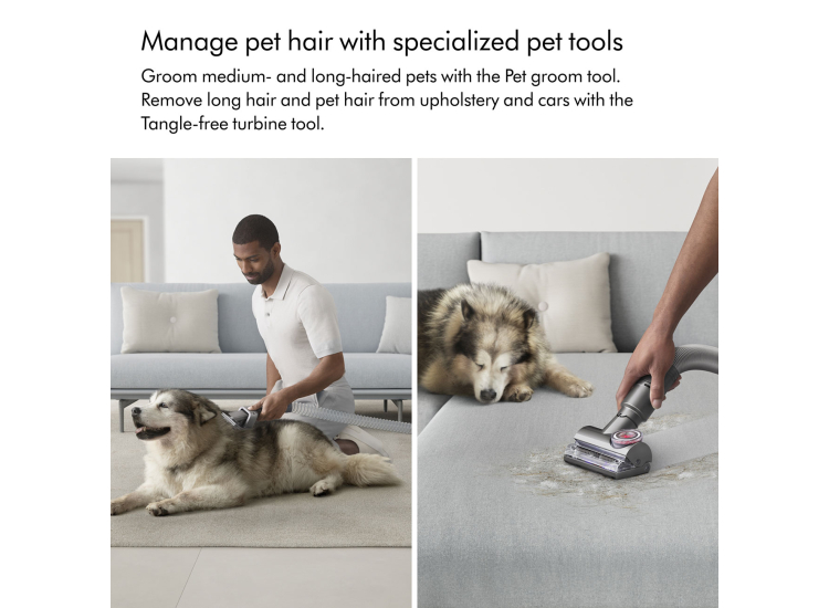 Dyson Ball Animal 3 Extra Upright Vacuum Cleaner - 394515-01