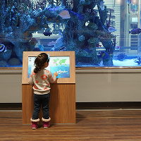 Young girl standing in front of the Abt fish tank