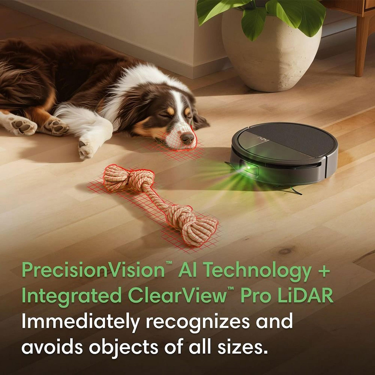 Feature View of Precision Vision