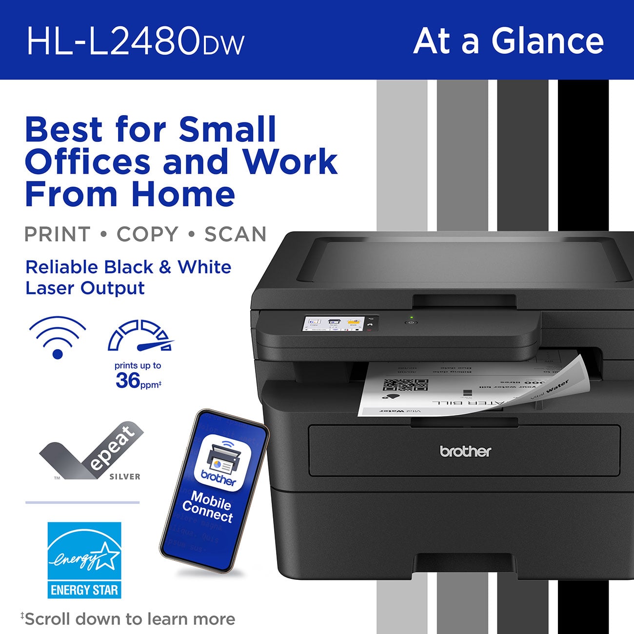 Brother - HL-L2480DW - Printers & Scanners
