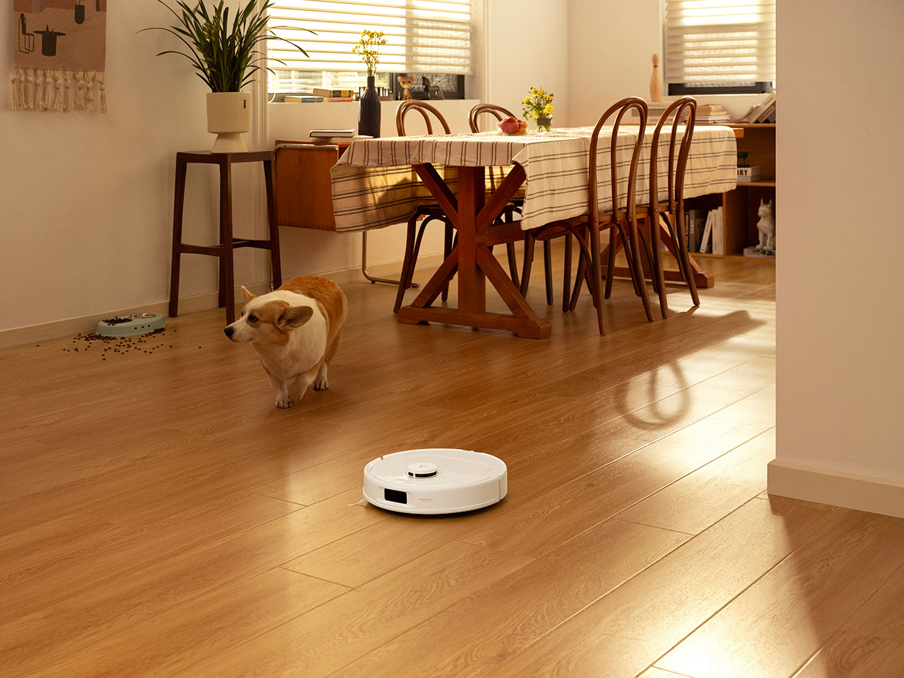 Roborock Robot Vacuum next to a dog