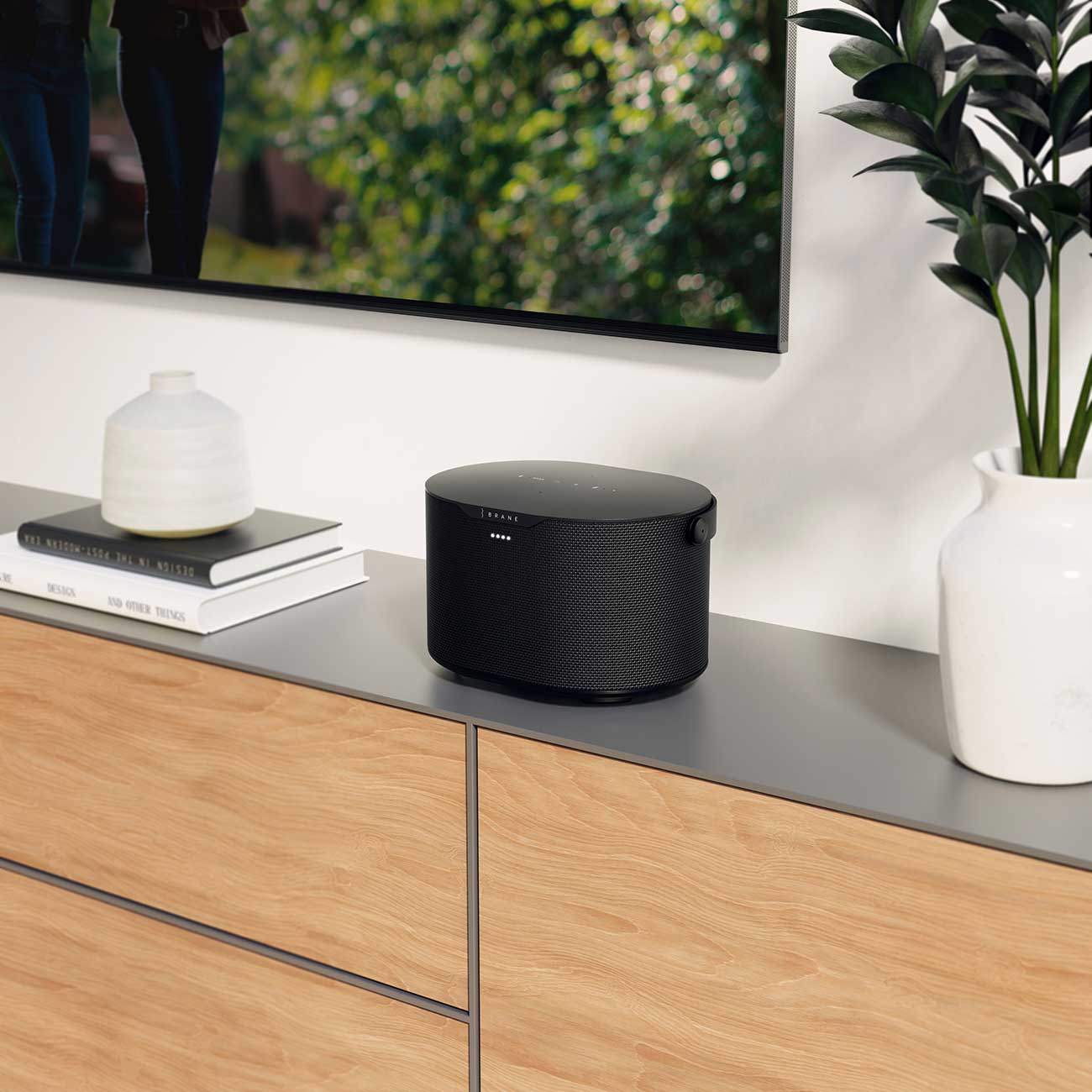 Brane Audio X Smart Speaker Wireless in Living Room Setting