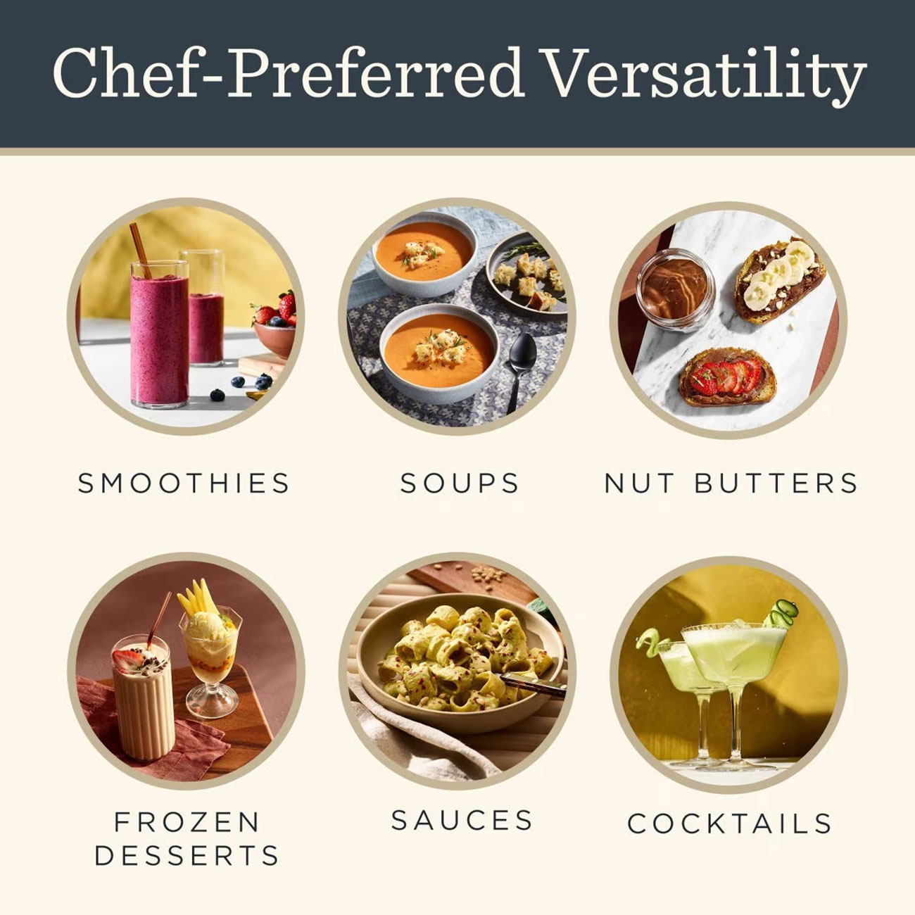 View of chef preferred food graphic for Vitamix VX1 Blender