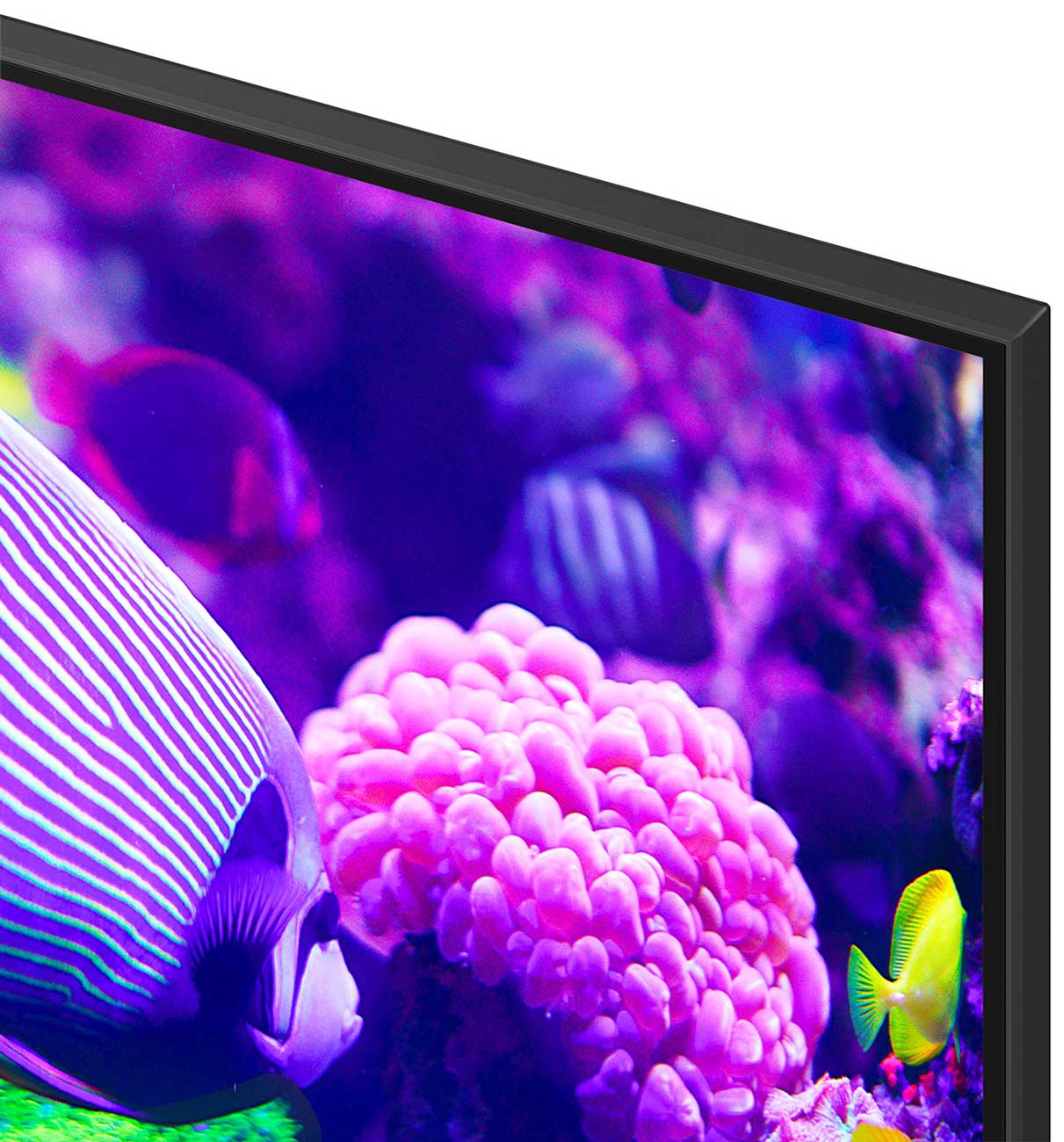 Close Up View Of The TV Bezel